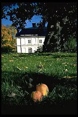 Strom a jablka Åkerö v zámecké zahradě