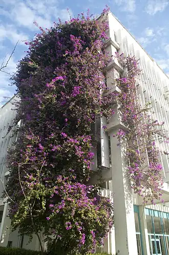 alternativní popis obrázku chybí