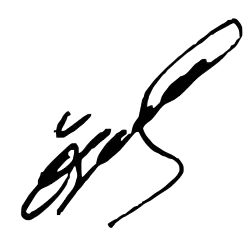 Özgür Özel, podpis