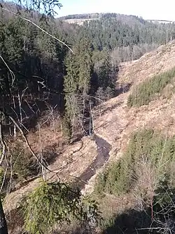 Údolí Říčky v Orlických horách