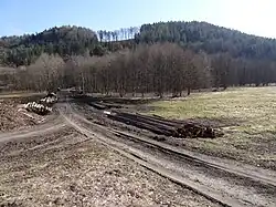 údolí říčky Mohelky u osady Slavíkov