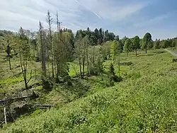 Údolí řeky Odry u Novoveského Mlýna