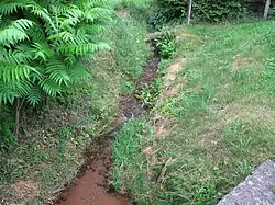 Ořeška ve Štěpanicích