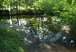 Ústí potoku Cecima do řeky Úslavy