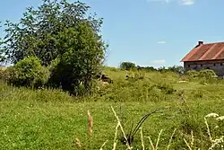 Ústupenice, Sedlčany, pozůstatky tvrziště 01.JPG