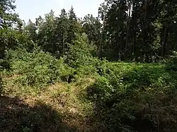 Úvaly-Újezd nad Lesy - Na kostelíku (9).JPG