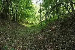 Čejetičky - tvrziště Rácov (16).jpg