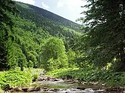 Čeladenka pod Smrkem