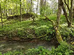 Čermná – ruiny staveb