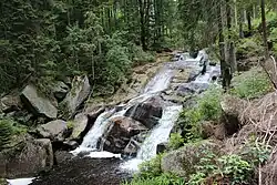 Přírodní památka Černá Desná