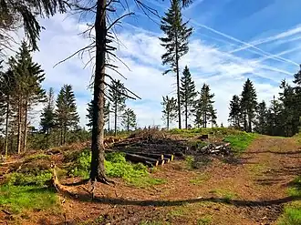 Jižní vrchol (813 m)