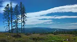 Černá hora a vpravo v popředí Slatinná stráň