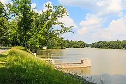 Černíkovický rybník