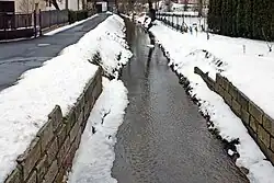 Černý potok v Božičanech