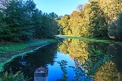 Černý rybník u hradu kost