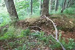 Zákop na vrchu Černiny