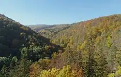 Pohled z Čertových kazatelen na jihozápad proti proudu Račího potoka