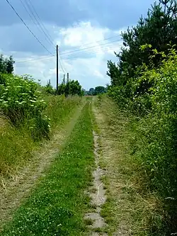 V místech, kudy vedla železniční trať, dnes většinou vedou polní cesty