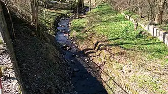 Potok v obci Čermná