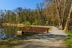 Červený rybník v oboře Choltice