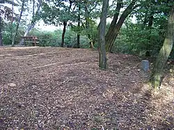 Červený vrch, vrchol