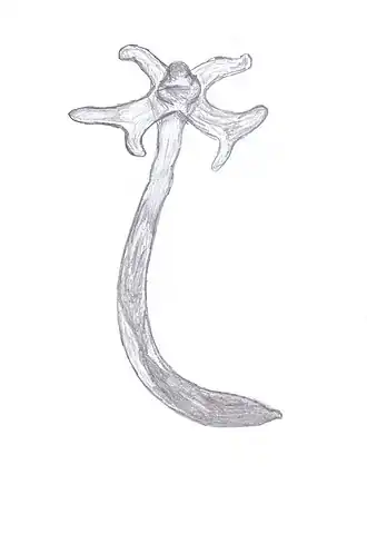 alternativní popis obrázku chybí