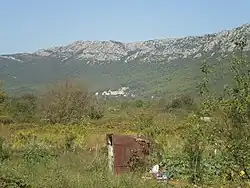 Česvinica