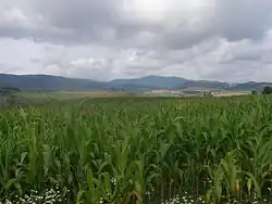 Pohled na pohoří od Sedlic