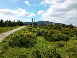 Plochý vrchol Čihadla, v pozadí Dívčí kameny