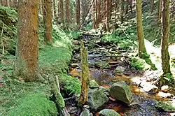 Nad soutokem se Stříbrným potokem