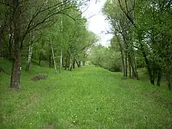 Čtvrtky za Bořím - přírodní památka na dálničním tělese