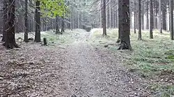 Vrcholové partie Čupelu