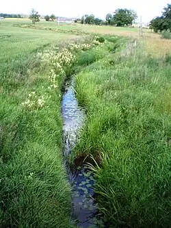 Horní tok řeky u vsi Stanioniai