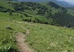 Močidlo v Ľubochnianské dolině