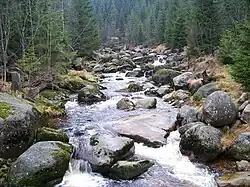 Pohled na dolní část Jizerky z turistické lávky