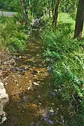 Potok Říka v obci