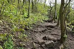 Pěšina na jihozápadním svahu