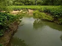 Lučina v Havířově