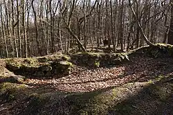 pozůstatky hradního zdiva