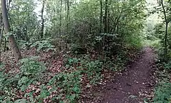 Šibeník, relic of ancient gallows 01.jpg