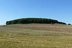 Přírodní památka Šiberná