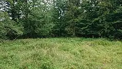 Šindelná pila - zádržný rybník