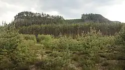 Pohled na stolovou horu