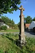 Škvorec křížek 326.jpg