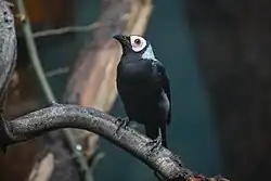 alternativní popis obrázku chybí