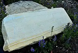 Slínovec z lomu u Přibylova