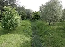 Štinkovka mezi Předním a Zadním rybníkem