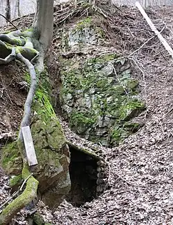 Štola Anna ve svahu Vysoké hory u Roztok