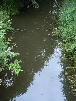 Šukupis z mostku cesty T křižovatka silnice č. 2306 – Genčai