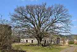 Zřícenina hospodářského dvora